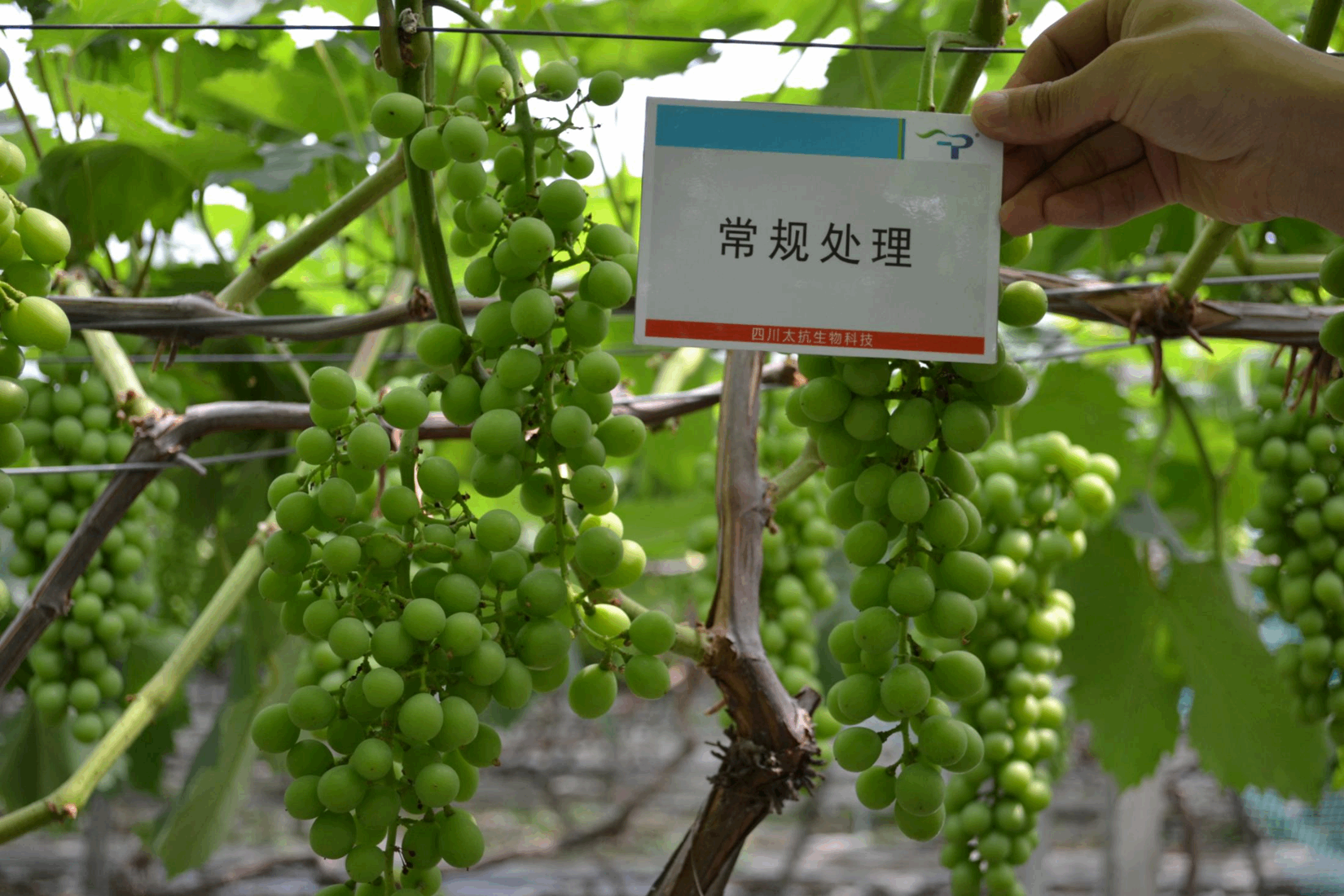 图片1.png22.png