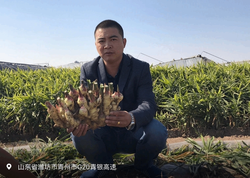 微信图片_20250529134334.jpg