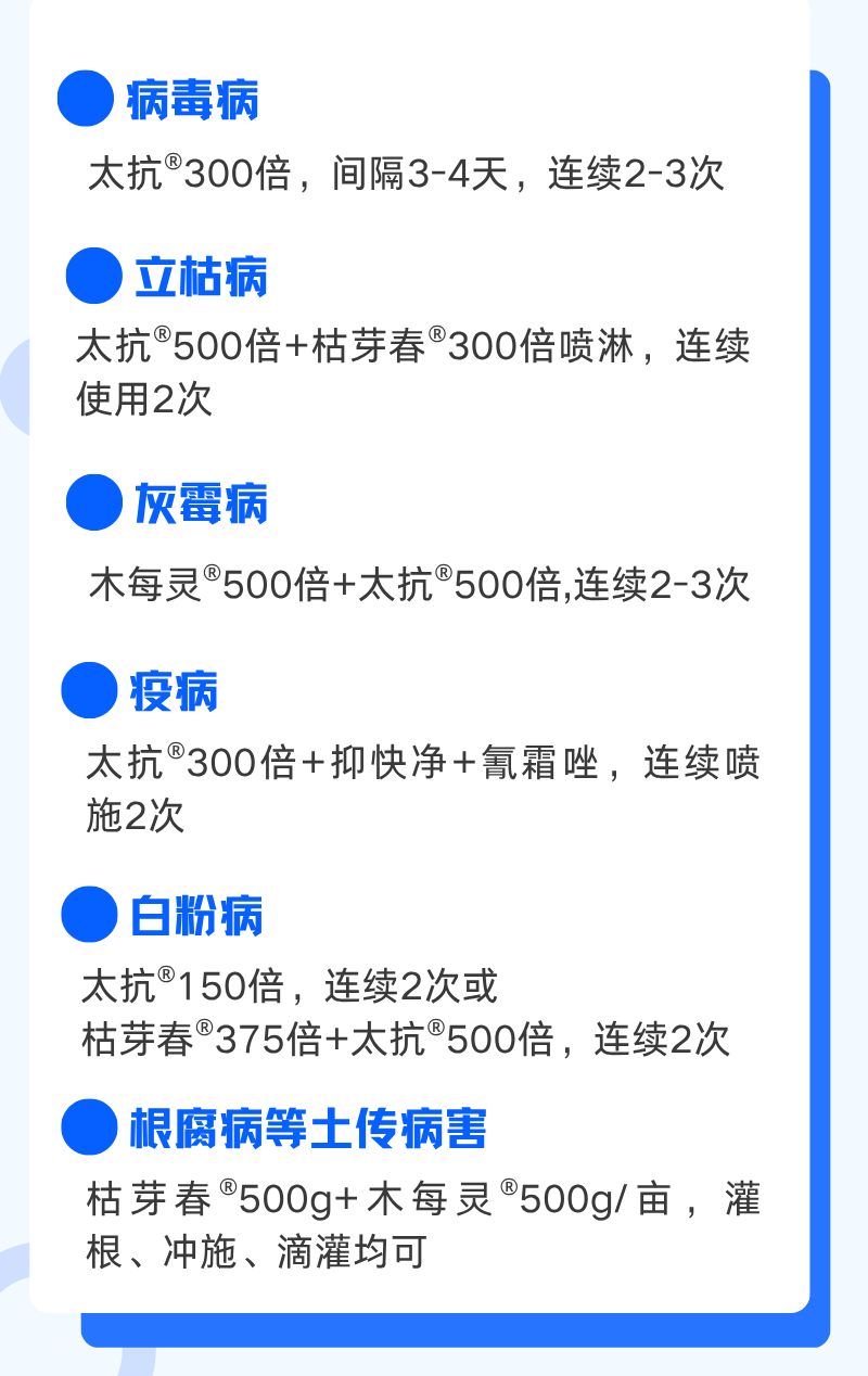 克萊因藍(lán)黃色撞色工作匯報(bào)長(zhǎng)圖.png