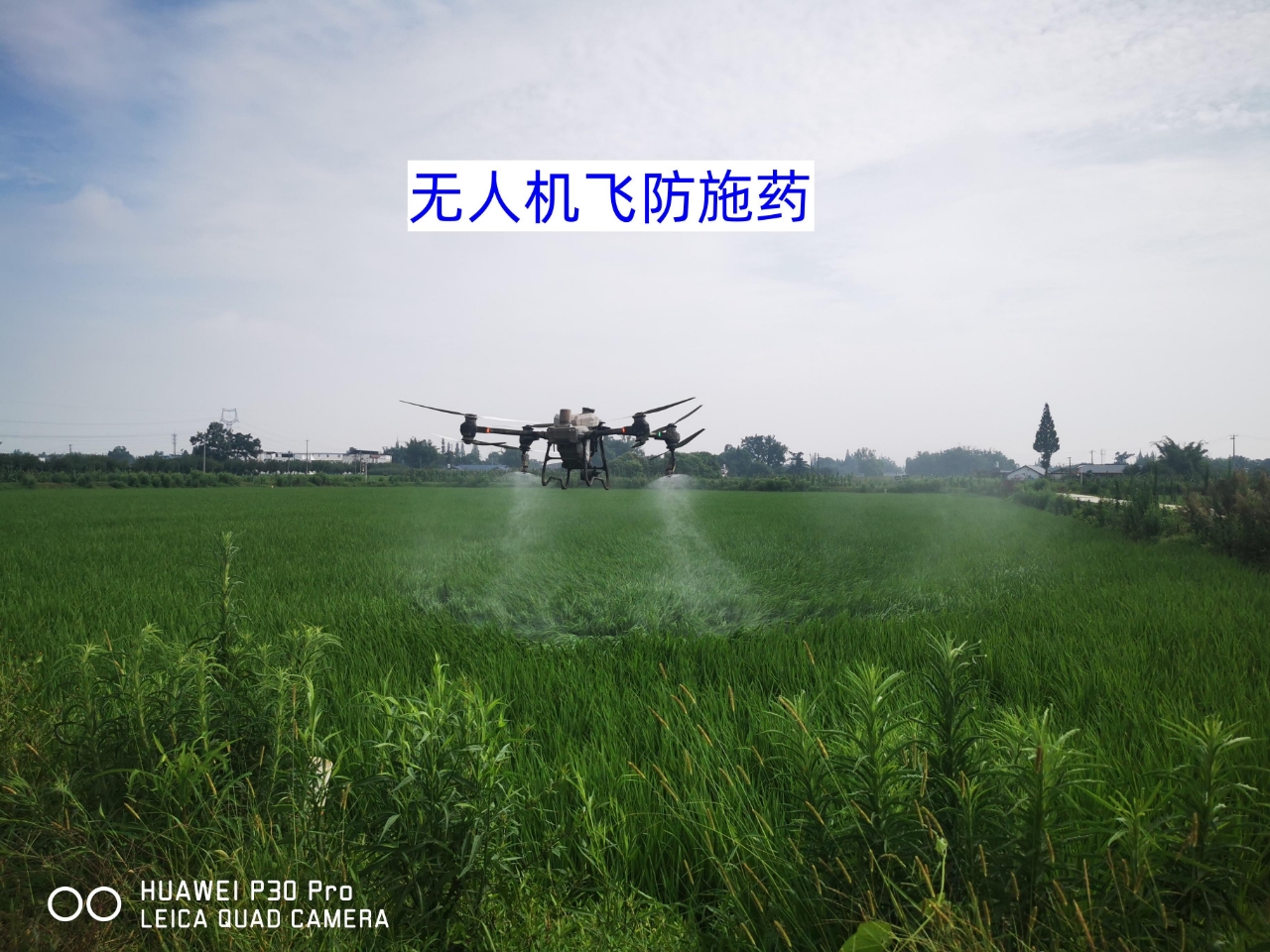 微信圖片_20250612172226.jpg