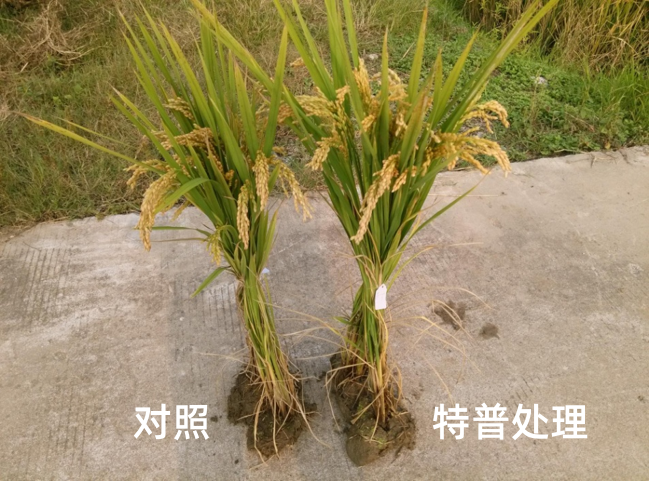 圖片12_副本.png