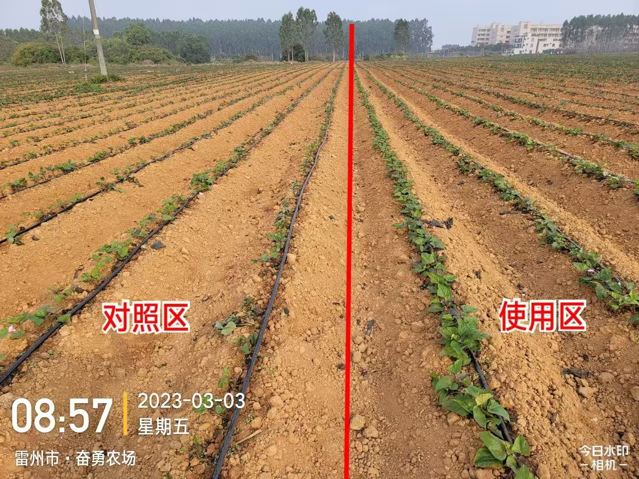 压缩.jpg