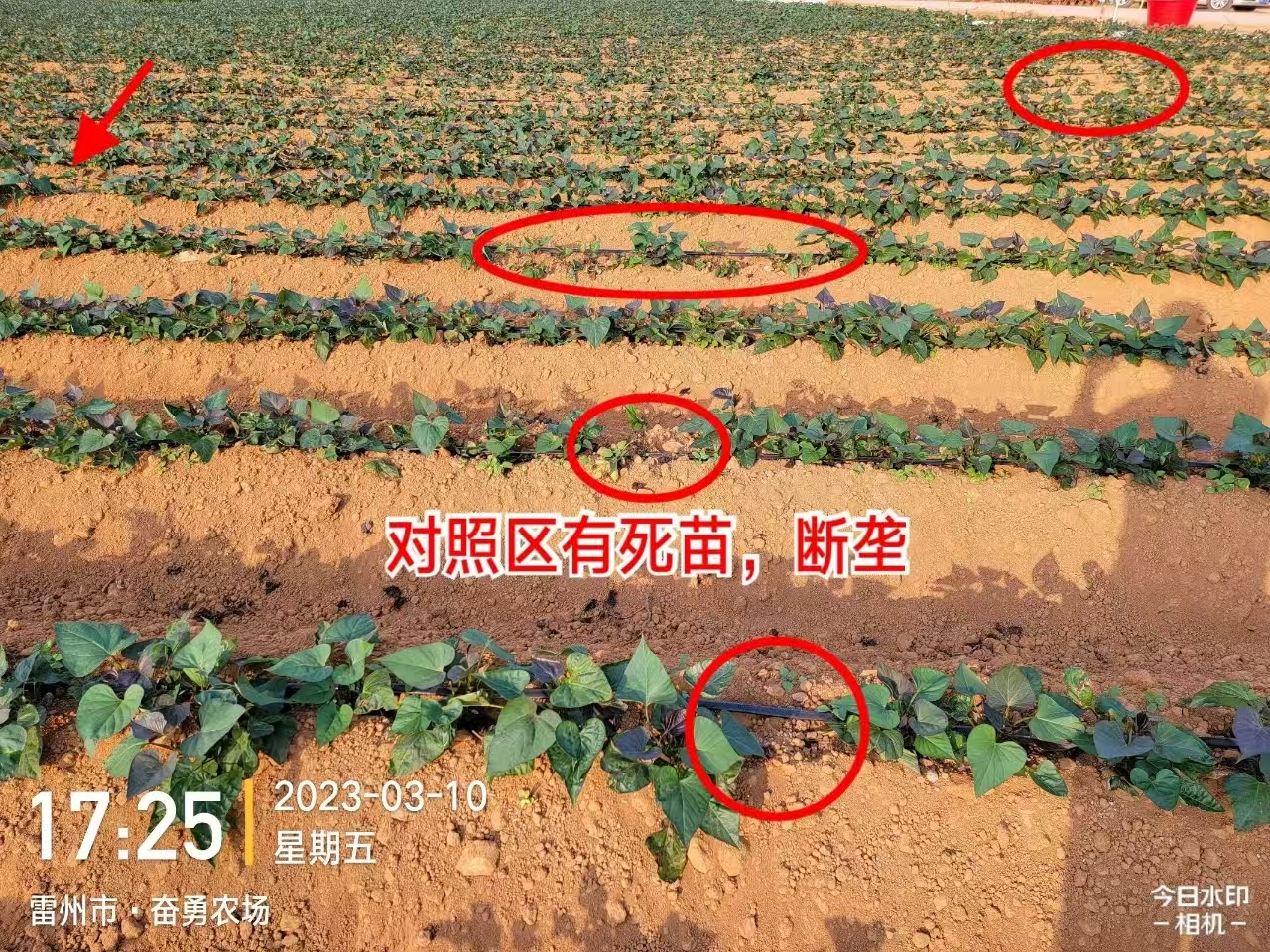 压缩3.jpg