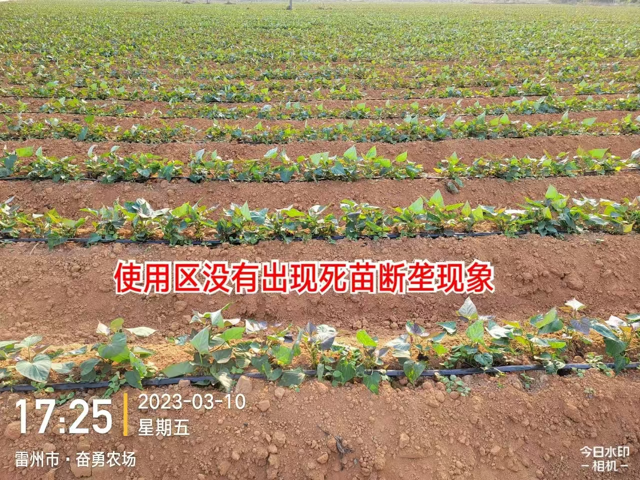 压缩4.jpg