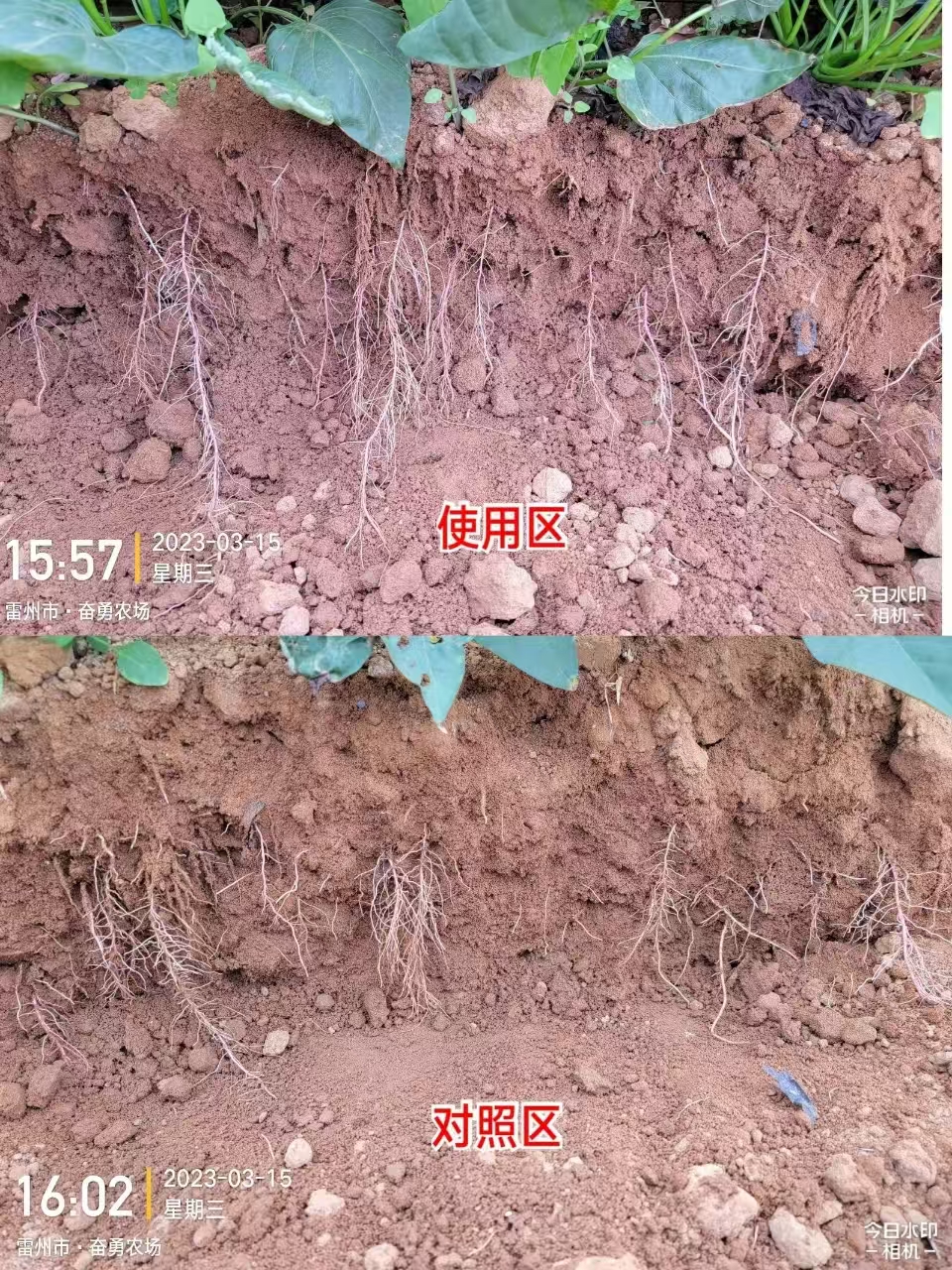 压缩2.jpg