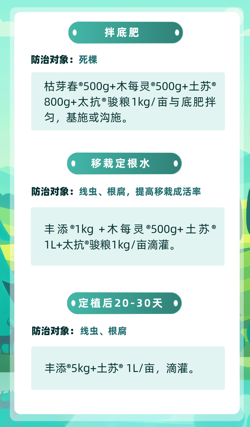 蓝绿白色扁平插画风格生态环境方案长图 (1).png
