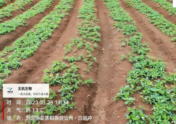 微信图片_20250724142106(1).jpg