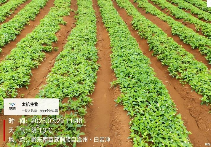 微信图片_20250724142048(1).jpg