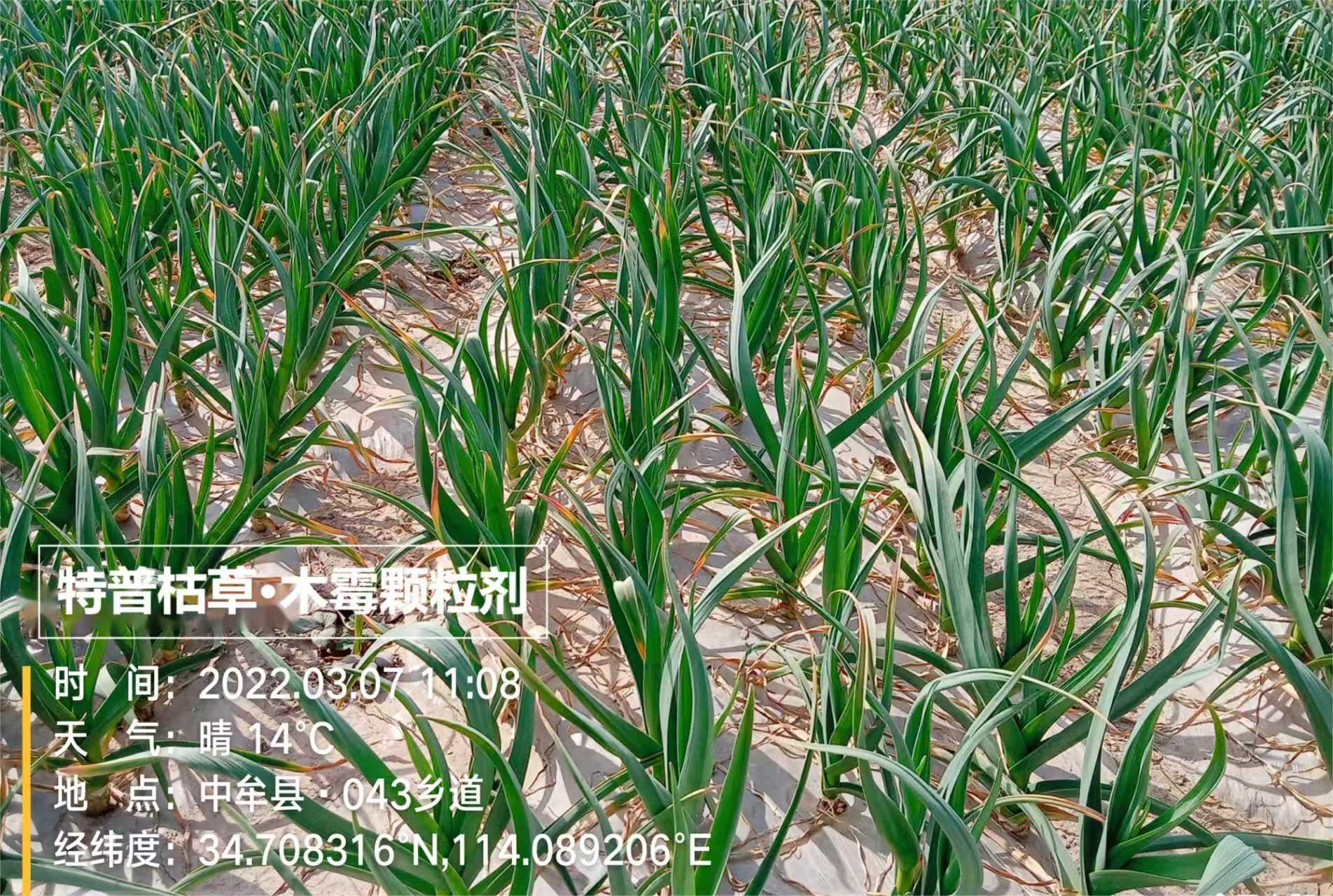 微信图片_2025-08-06_113524_323.jpg