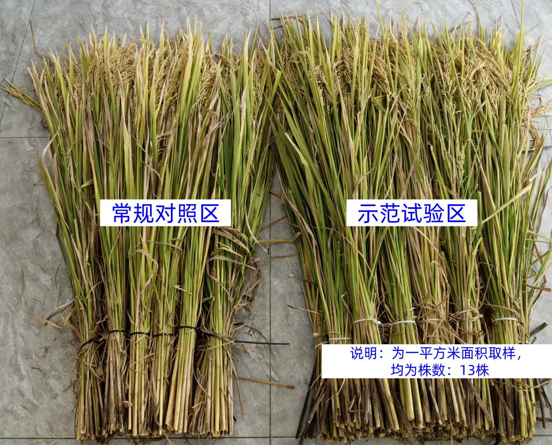 微信图片_20250828150307_109_102.png