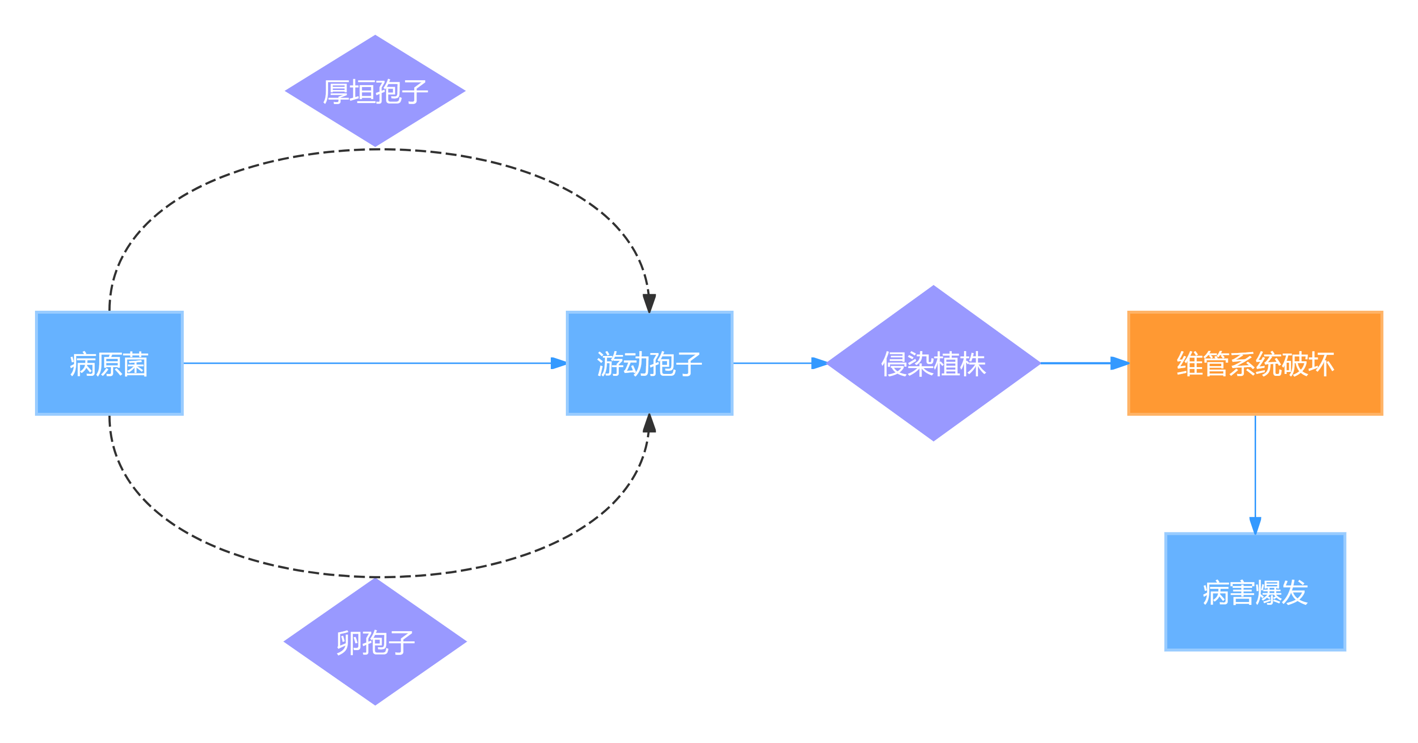 主流開發(fā)決策流程規(guī)范(3).png