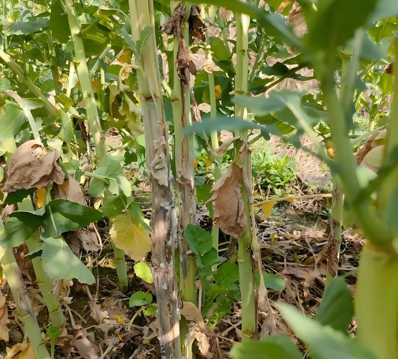 1761806681688596A4Be.jpg u=356374701,941978758&fm=253&app=138&f=JPEG(1).jpg