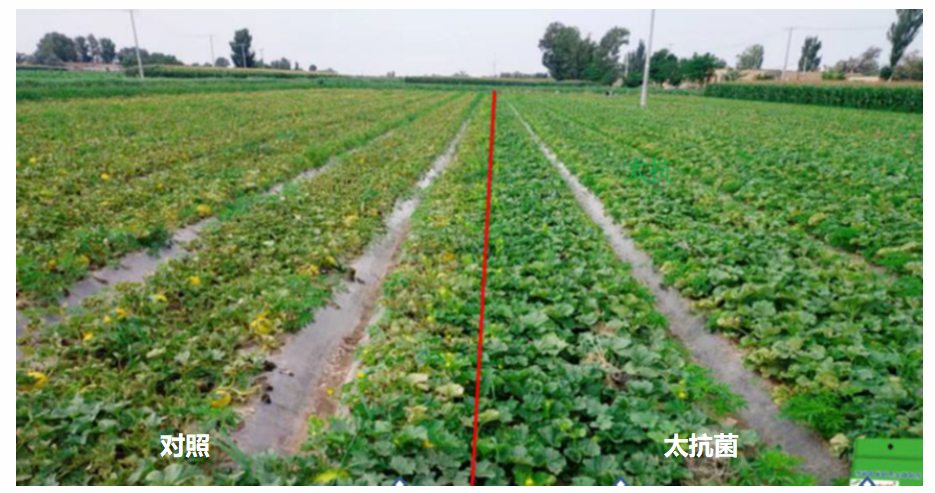 微信图片_20260326160849_20_144.png