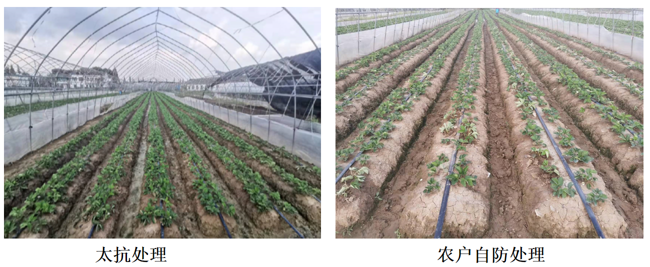 微信图片_20260326160313_19_144.png