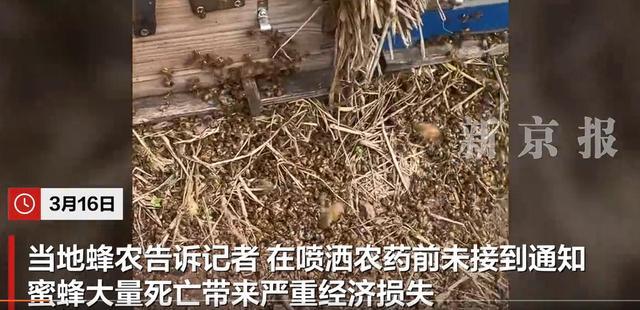 下载.jpg