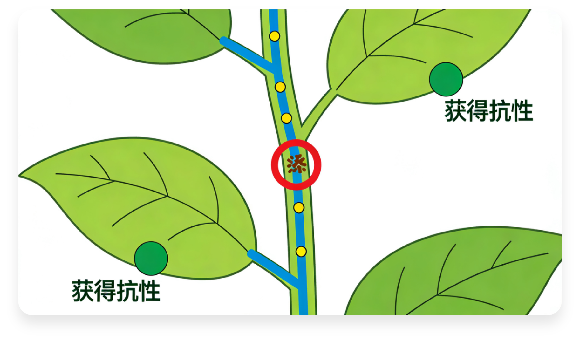 图片10.png