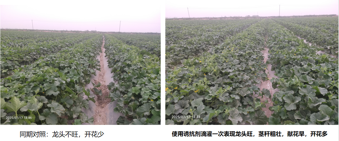 微信图片_20260423105627_75_144.png