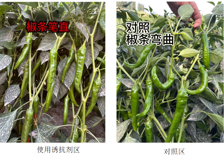 微信图片_20260423110200_77_144.png
