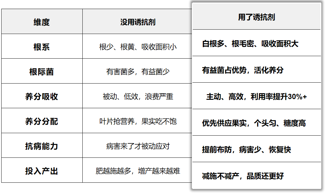 微信图片_20260423103212_74_144.png