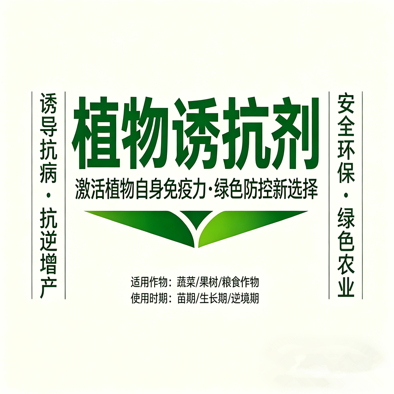 微信图片_20260423140921_83_144_副本.png