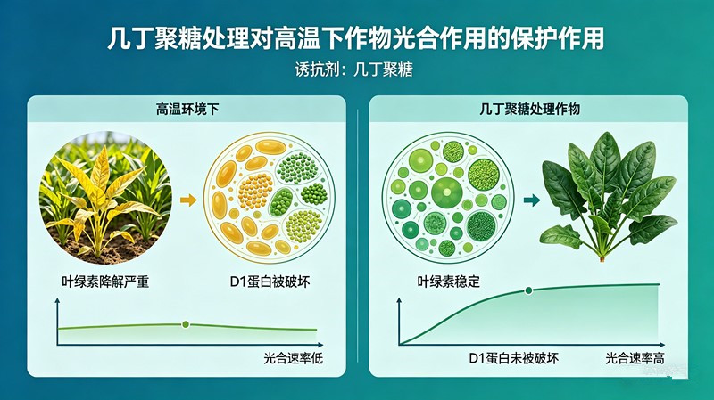 2 (2)_副本.jpg